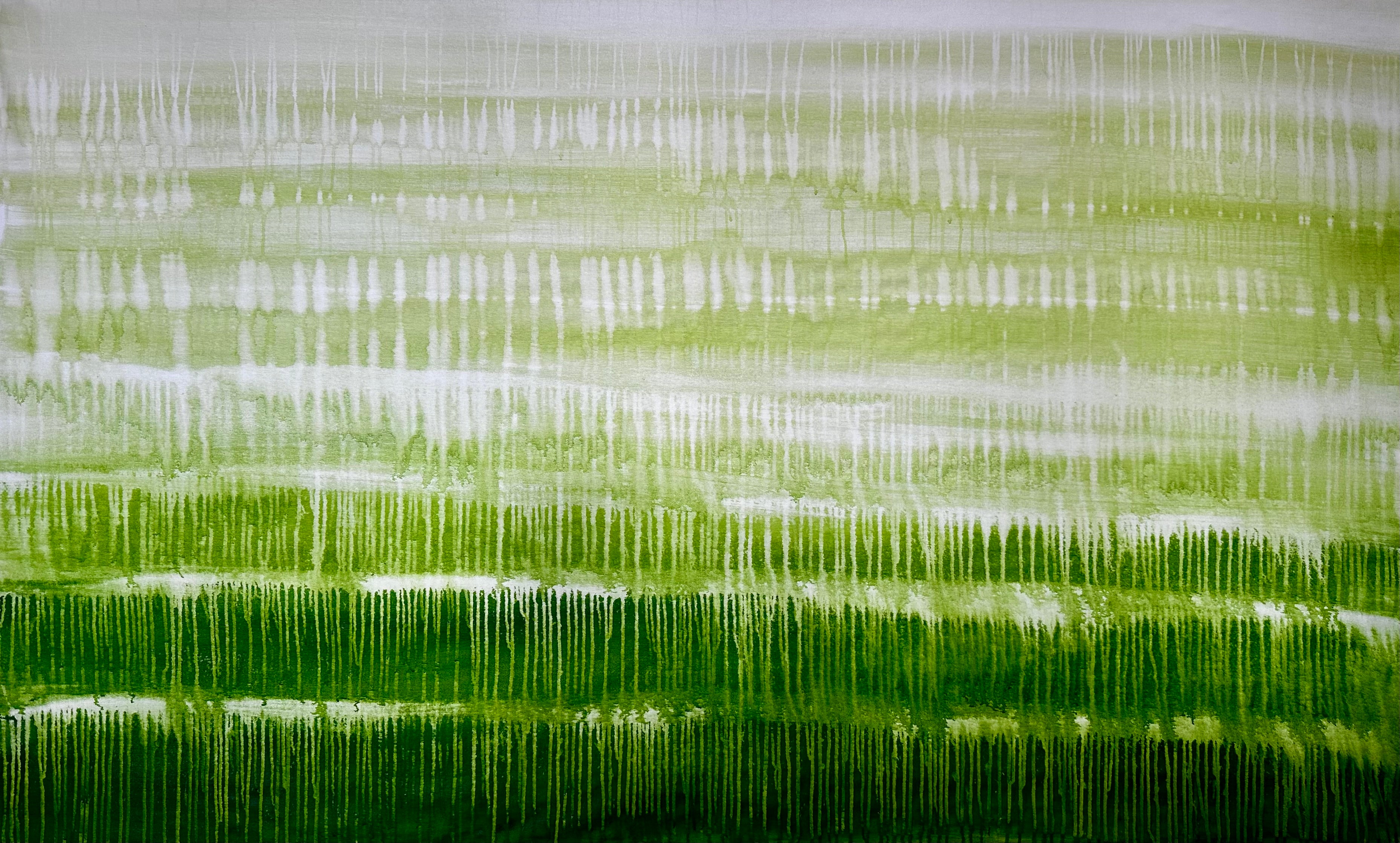 Monsoon Forest